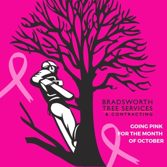 BTSC Logo Pink